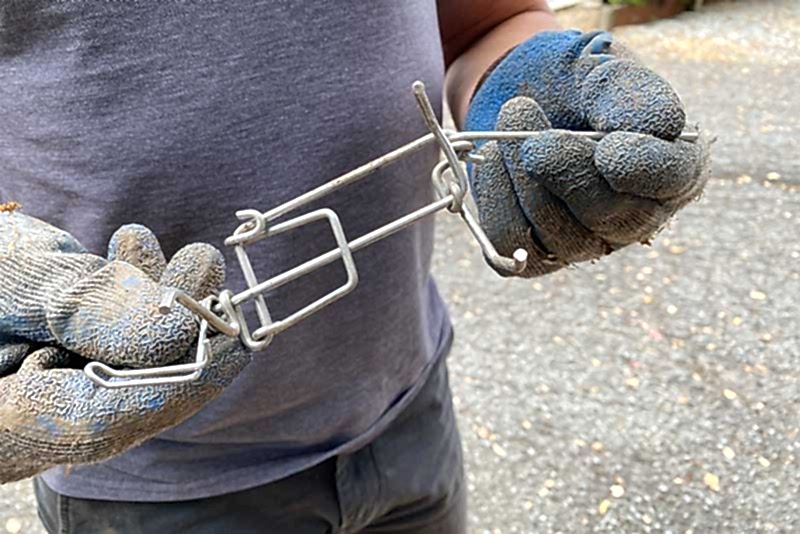 Gophers killing trap
