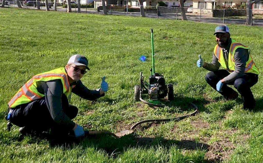 carbon dioxide for rodent control
