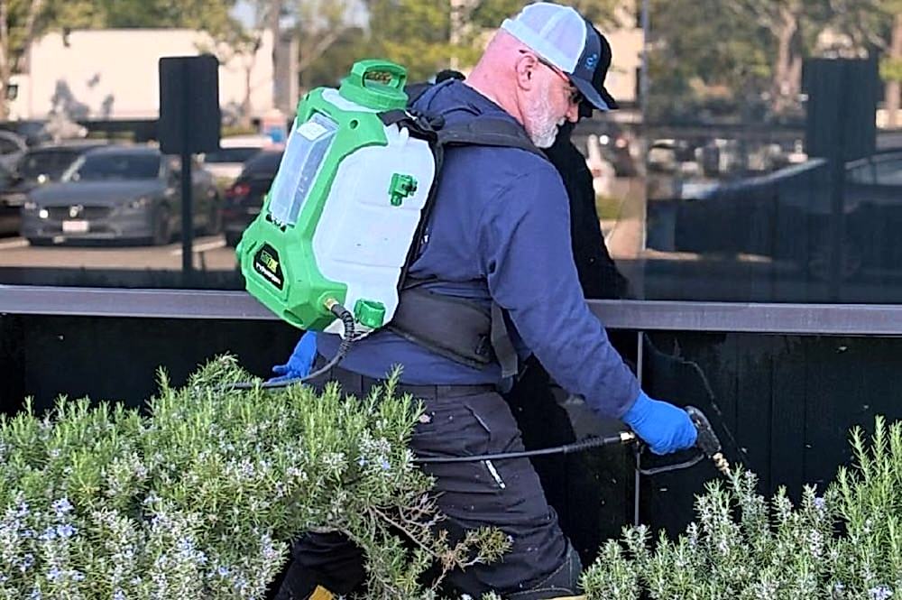 commercial pest control smith's pest management bay area
