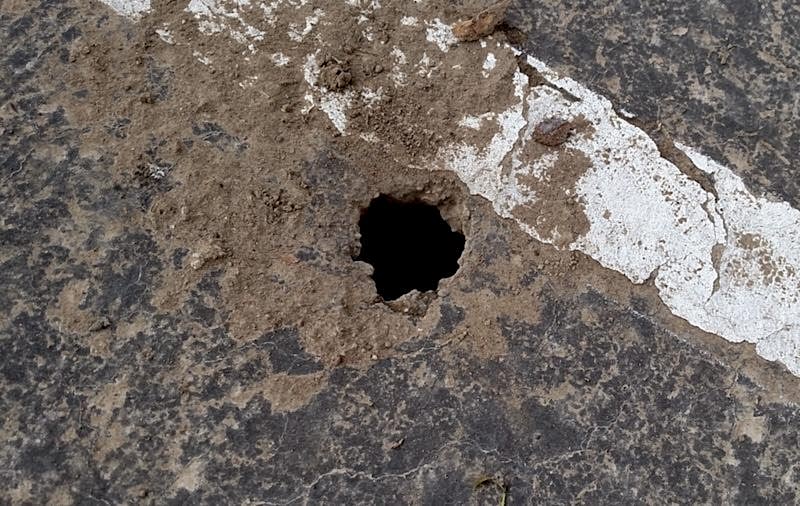 rat holes yard bay area
