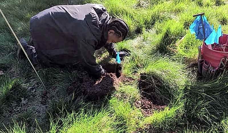 gopher control yard inspection