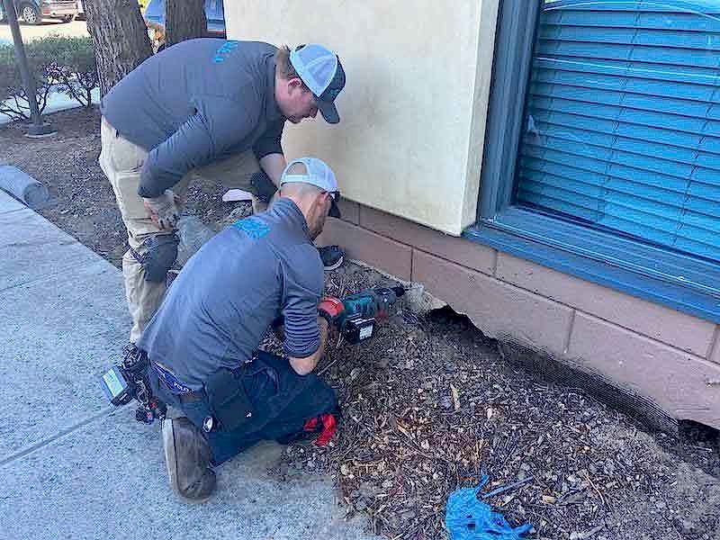 ground squirrel control process Installing fencing to block access