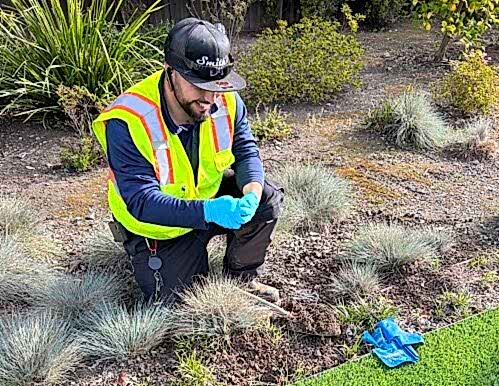 Smith's Pest Management mole control service