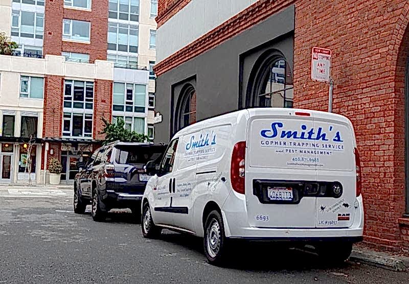 cockroach control bay area smith's pest management