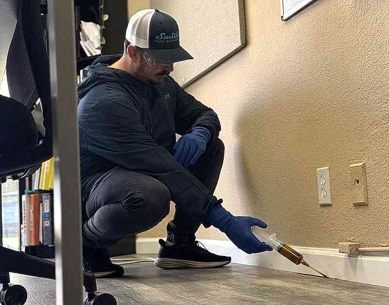 commercial cockroach control bay area