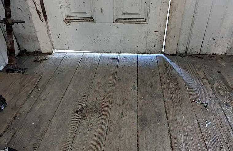 rodent control inspecting entire property