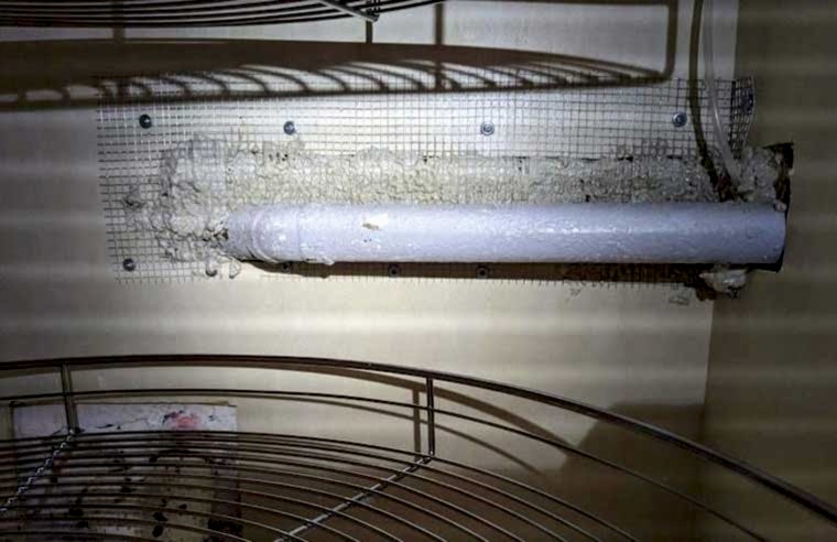 rodent control sealing entry points