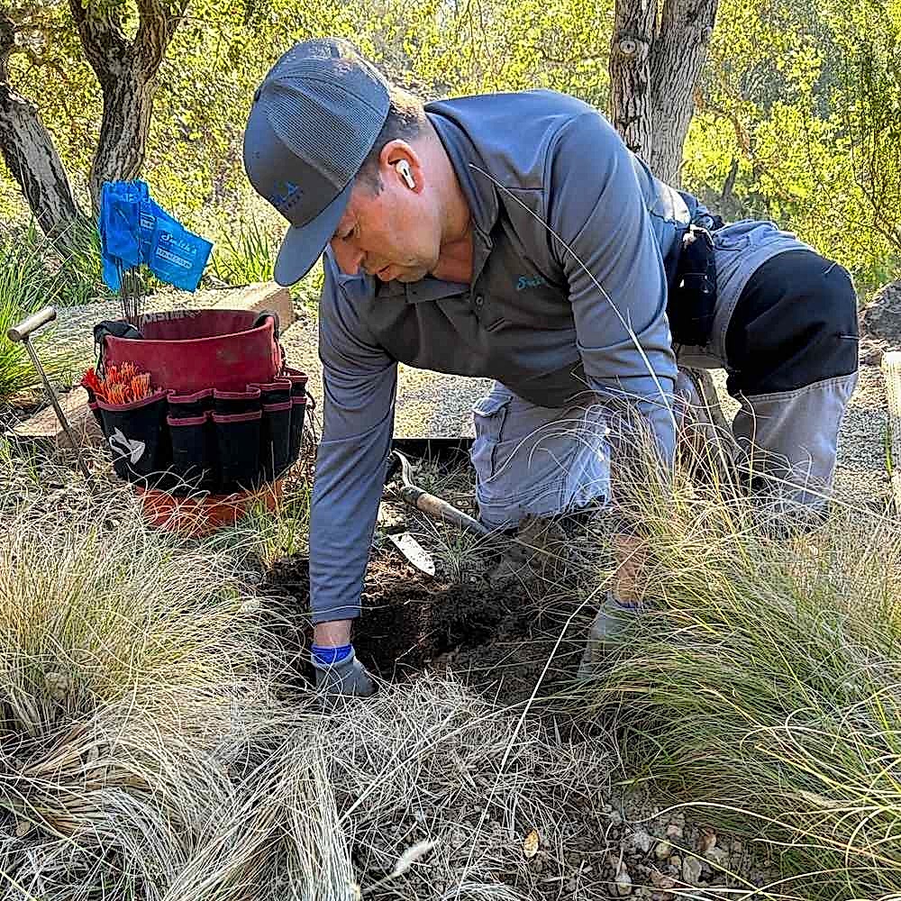 vole inspection smith's bay area