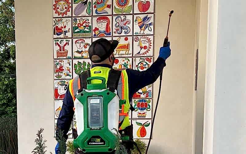eco conscious spider control treatment