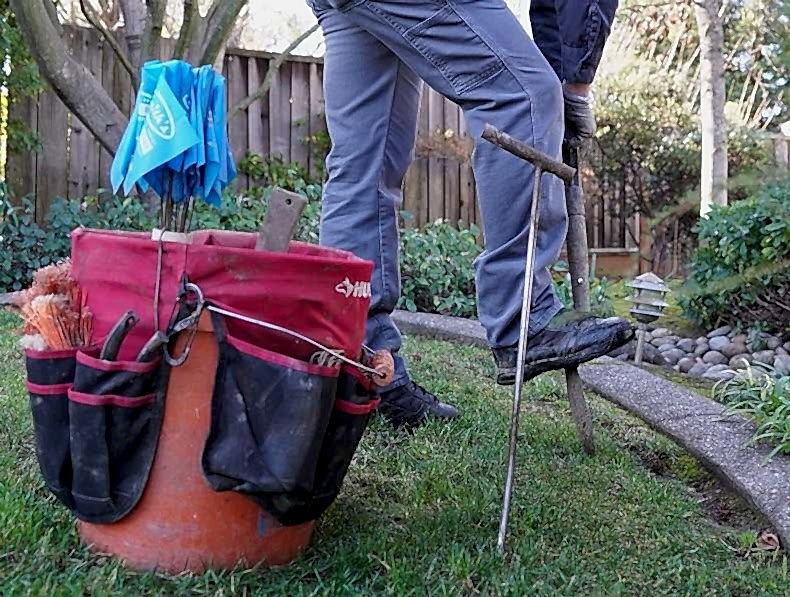 setting mole traps bay area