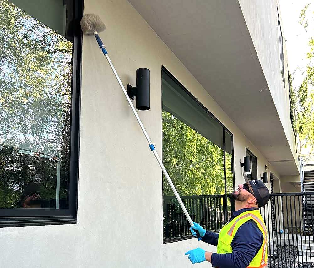 spider dewebbing service