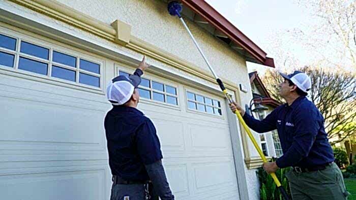 spider exterminator