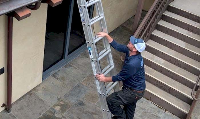 stinging insect control inspect the entire property