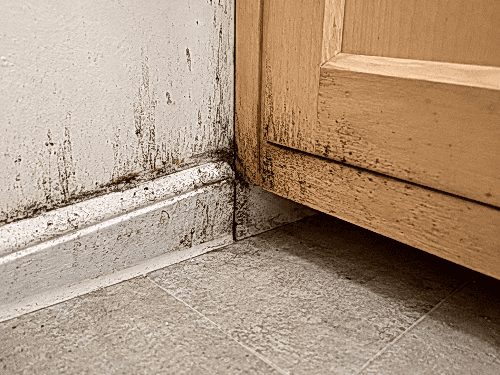cockroach smear marks